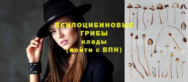 mdpv Гусь-Хрустальный