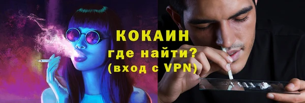 ALPHA-PVP Гусев