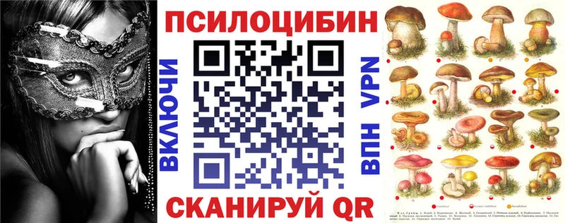 Галлюциногенные грибы Psilocybe  магазин  наркотиков  shop наркотические препараты  Плёс 